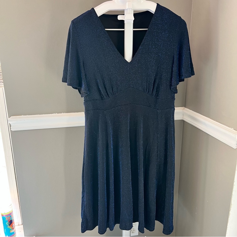 Torrid Shimmery dress